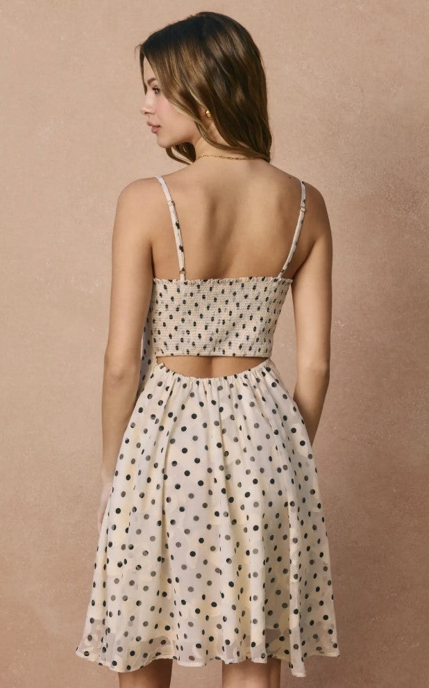 Polka Flora Fit and Flare Mini Dress|7343