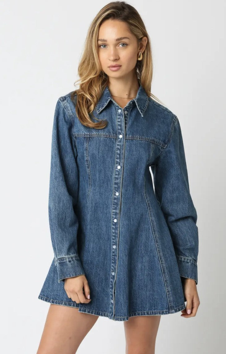 Angela Denim Shirt Mini Dress|8101