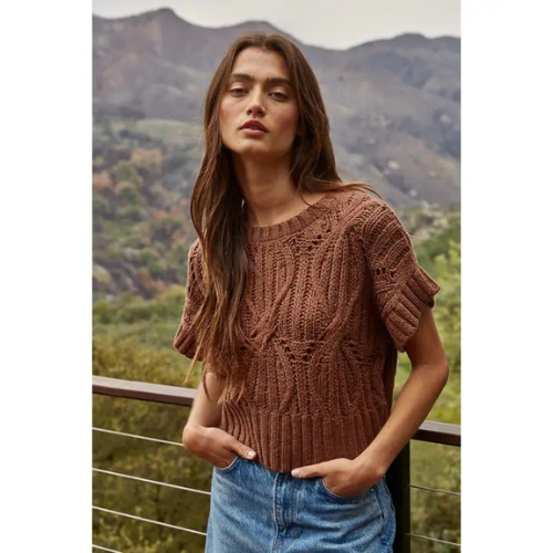 Brown Crochet Short Sleeve Sweater|6707