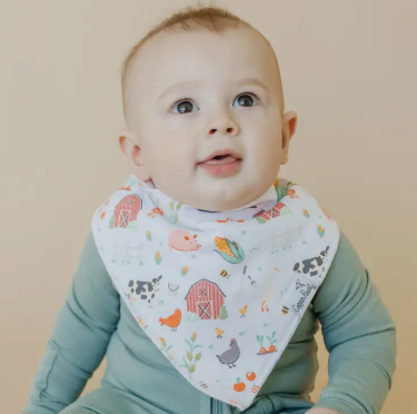 Farmstand Baby Bandana Bibs|6957