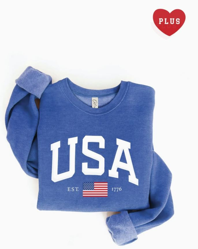 USA Est.1776 Graphic Sweatshirt- Blue|5918