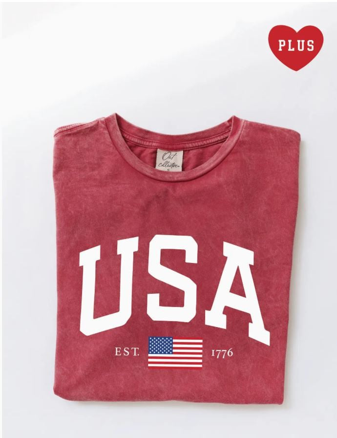 USA Est.1776 Plus Mineral Graphic Top red|5937