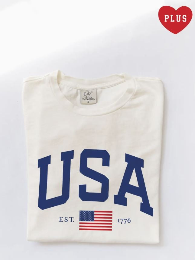 USA Est.1776 Plus Mineral Graphic Top white|5939