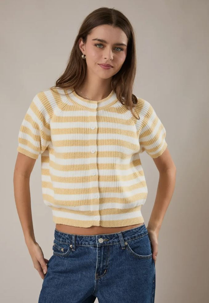 Short Sleeve Crew Neck Sweater Butter Ylw/Wht|7116