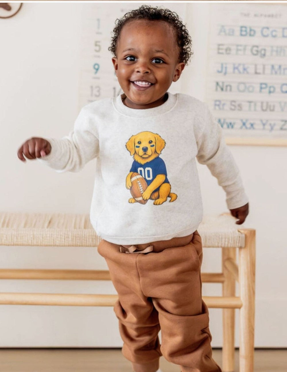 Sports pup Sweatshirt- Gray|8197