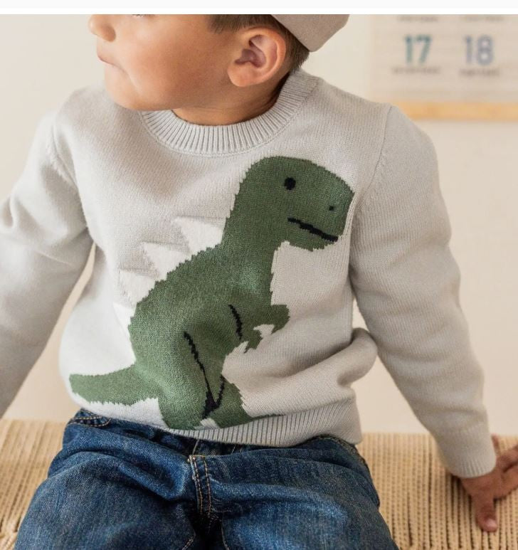 Dinosaur Sweater|8198